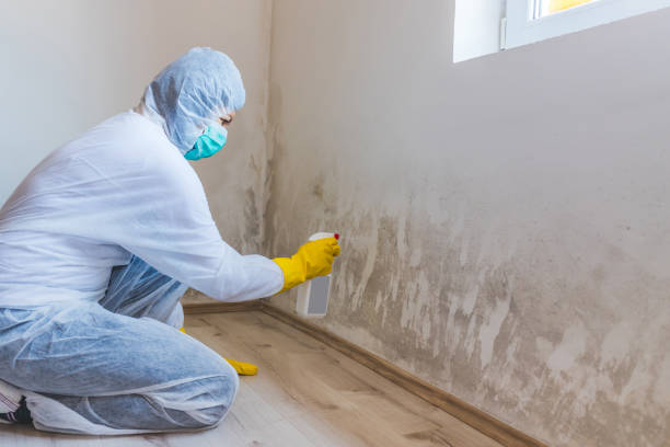 Licensed Commercial Mold Remediation service in Collegeville, PA - WQB Mold Removal