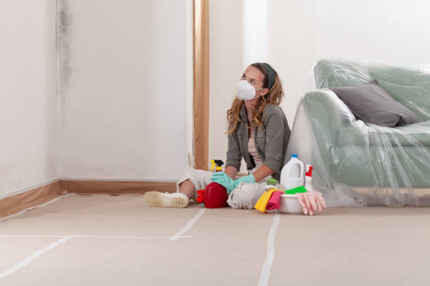 Reliable Commercial Mold Remediation contractor in Collegeville, PA by WQB Mold Removal
